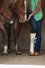 Desert Spirit Cowgirl Performance Socks